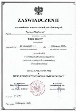 referencje
